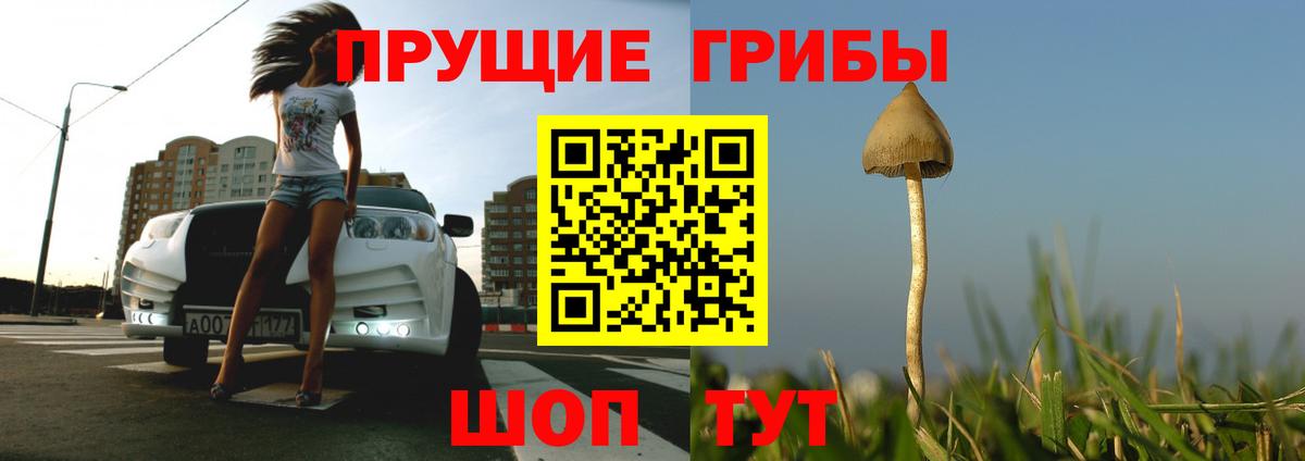 Алексеевка  Галлюциногенные грибы Cubensis  Вход с VPN 
